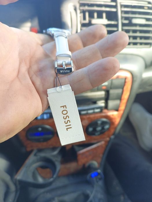 Ceasuri boss și fosil