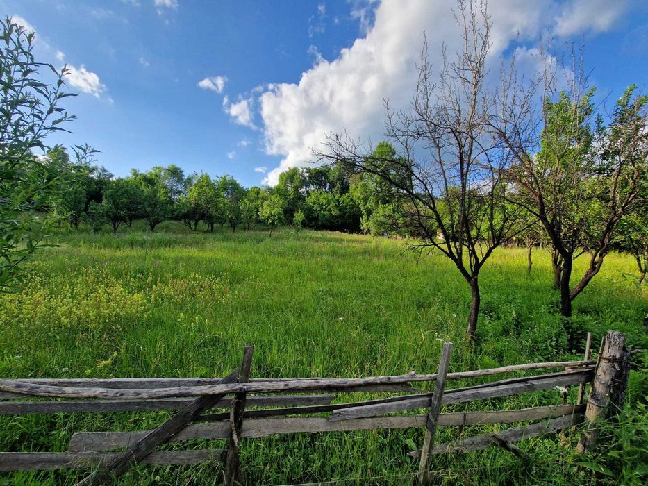 Teren de vanzare Cucuteni