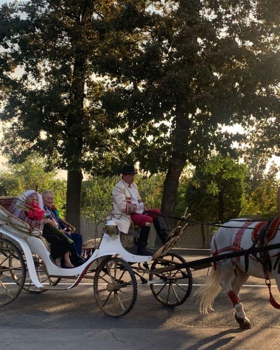 Карета на прокат