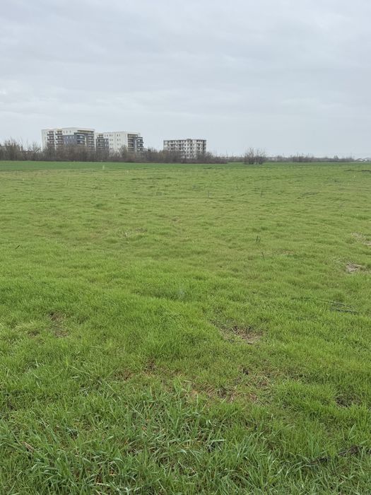 Schimb teren 3000 mp Ploiesti cu autoturism.