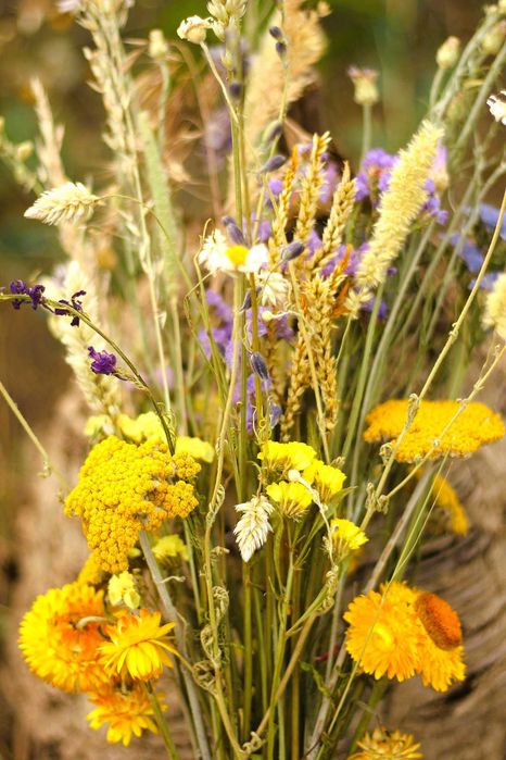 Пана и букети от сухи цветя