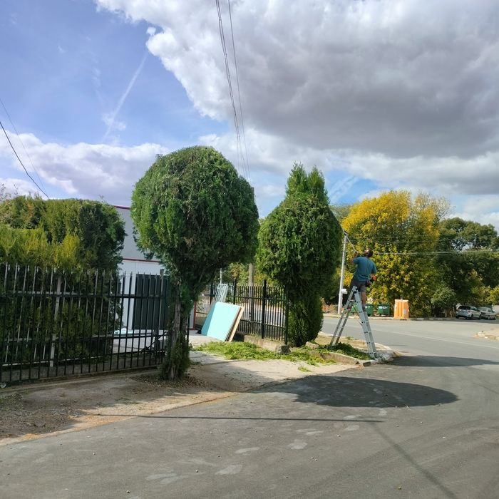 Косене, рязане, почистване