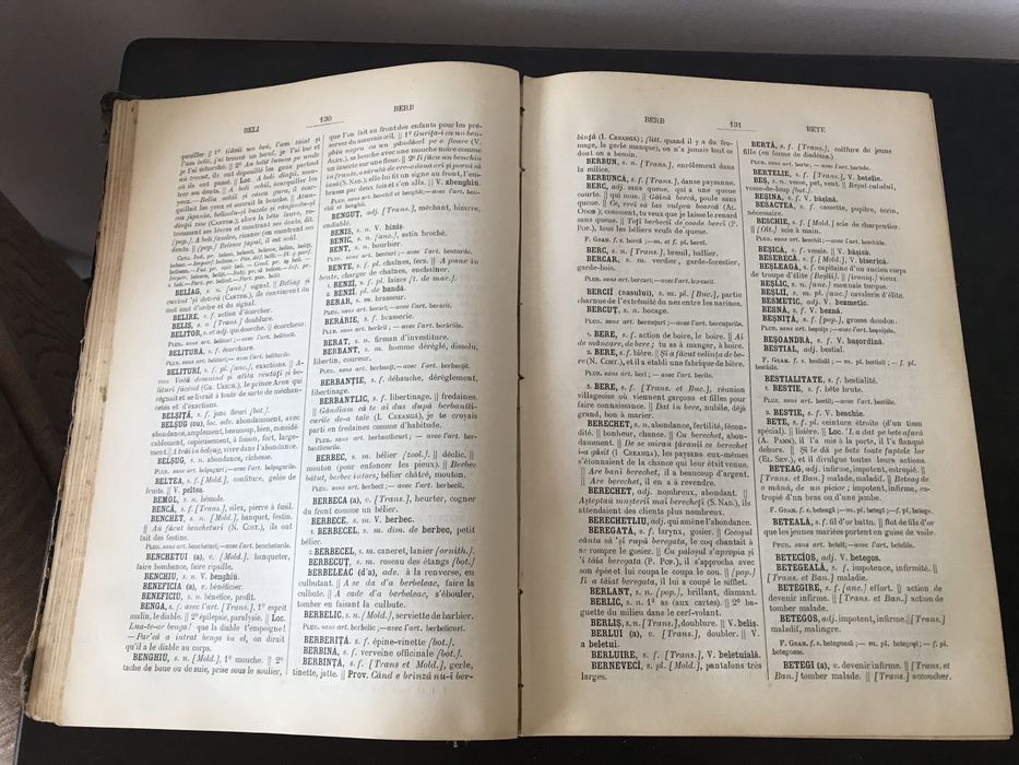 Frederic Dame, Nouveau Dictionnaire Roumain-Francais