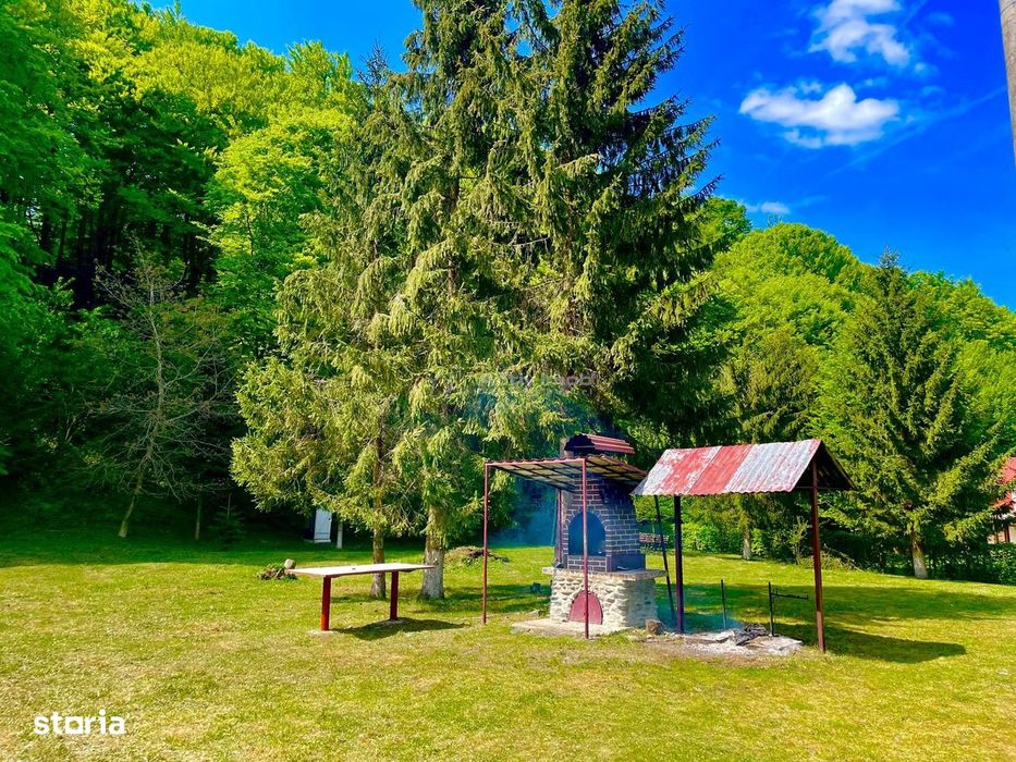 Casa de vacanta de vanzare Valea Avrigului