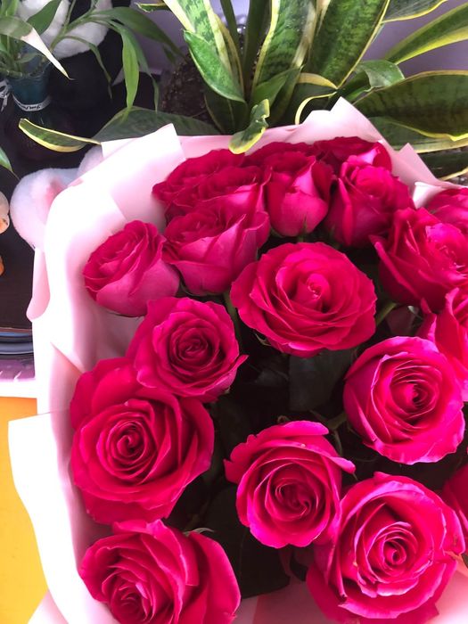 Гүл сатылады свежыи бүгінгі