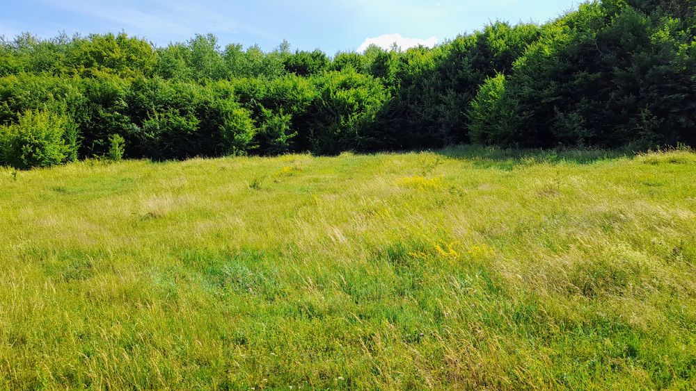 Teren intravilan, aproape de Laguna Albastra!