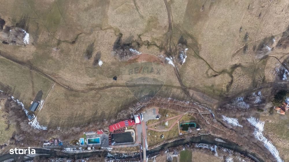 Teren Tohanul Nou 4500mp, in spate Wolf