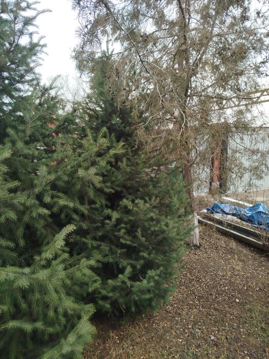 Лвррофддыоыововововоао