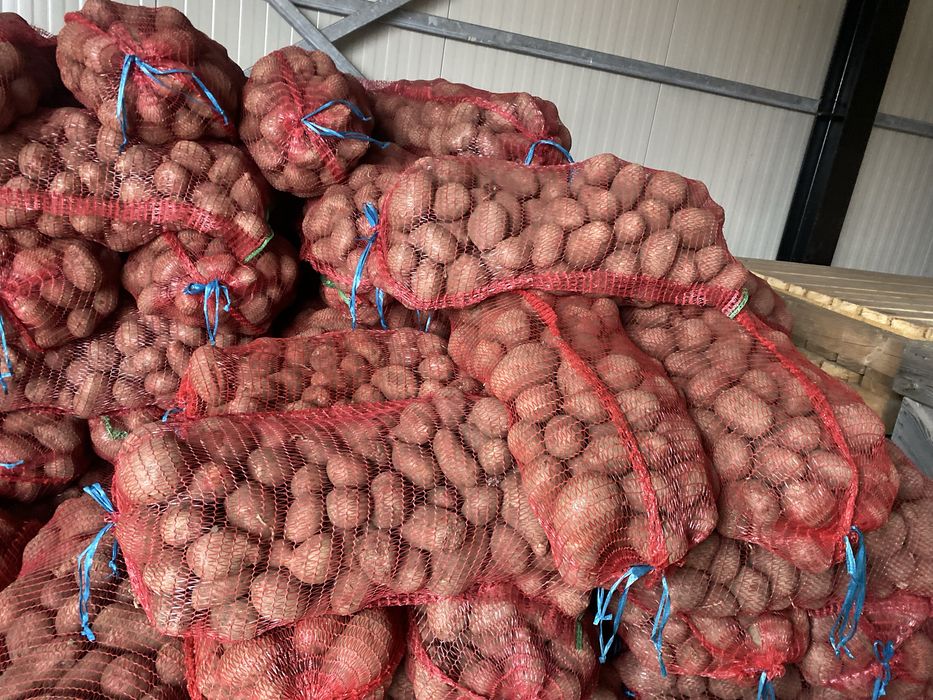 Cartofi 55+ , sortati recent