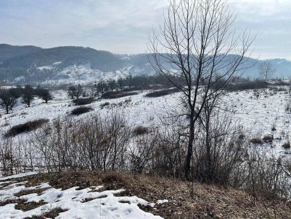 Teren intravilan 60000 mp Raul Alb