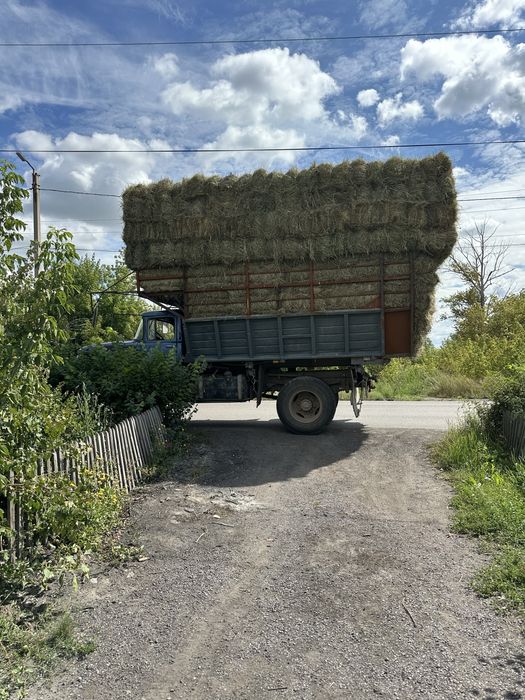 Продаю Сено, шөп сатылады