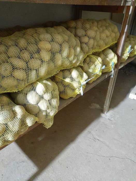 Картофи за консумация