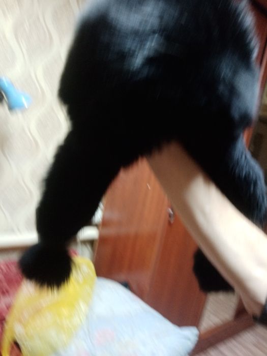 Продаётся меховая шапка