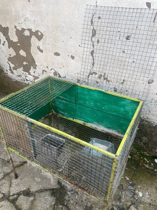 Клетки для кроликов птицы куры