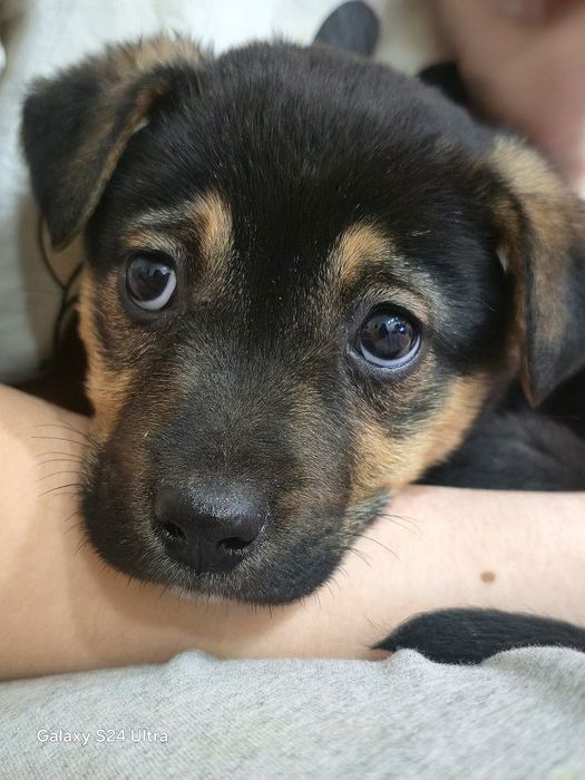 Прекрасные милые малышарики