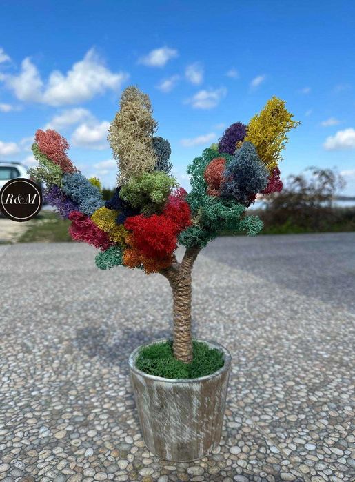 Подарък. Декорации. Скандинавски мъх. Ръчно изработени.