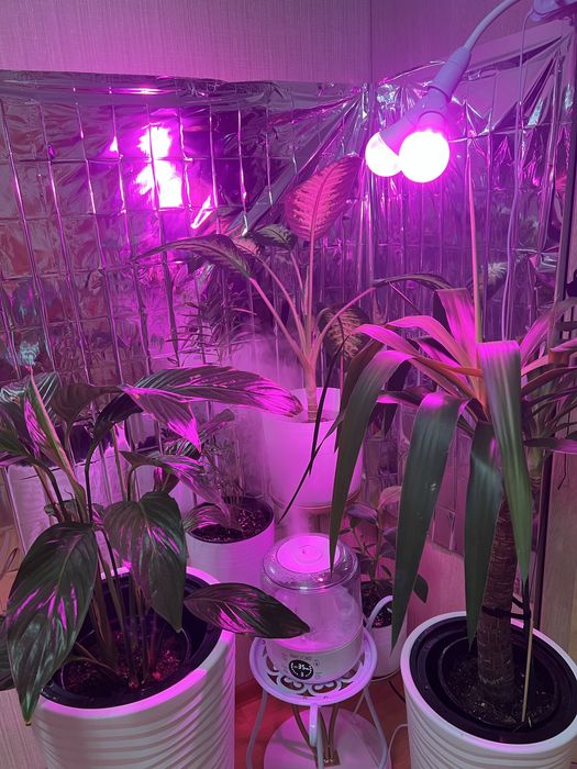 Разветвитель для цоколя Е 27 Rexant