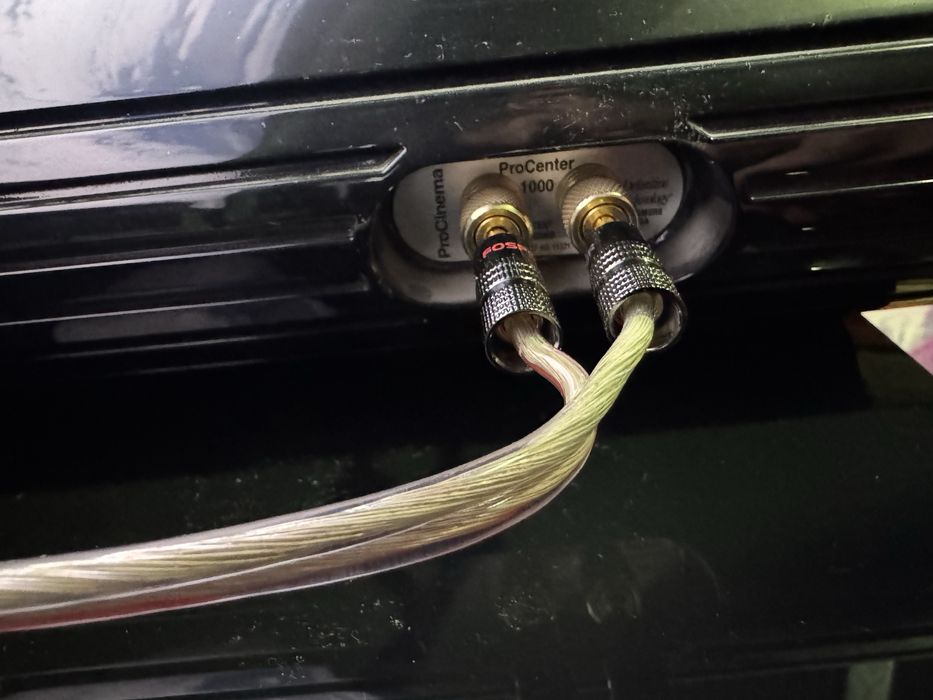 Definitive technology Procenter 1000 колонка для домашнего  кинотеатра