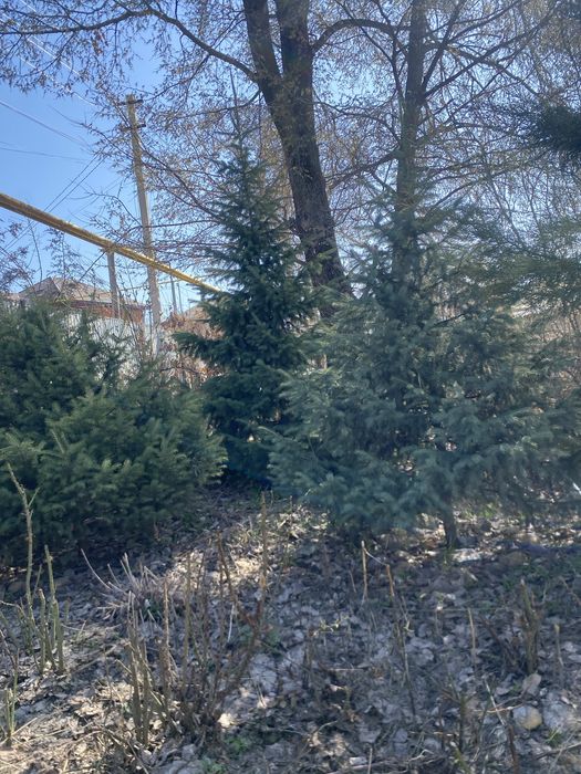 Продам Дом в Акбулаке