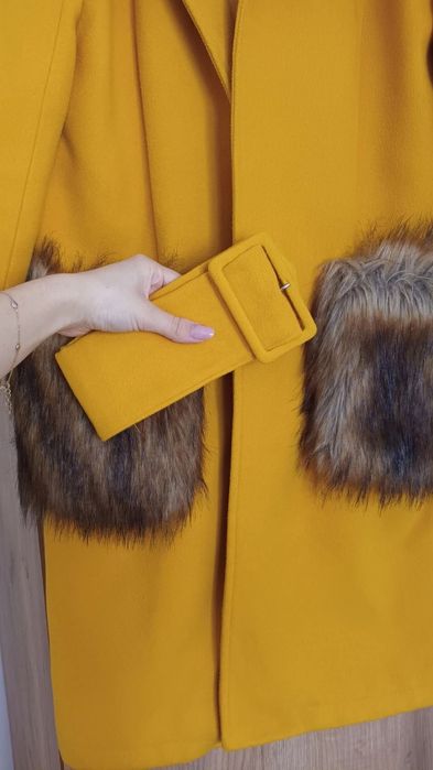 Pardesiu galben, FOGGI