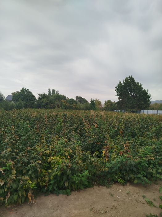 Продается дом 2хэтажный с террасой 220квм
