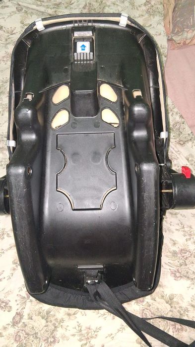 De vânzare  scoică