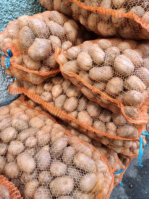 Cartofi de vînzare.