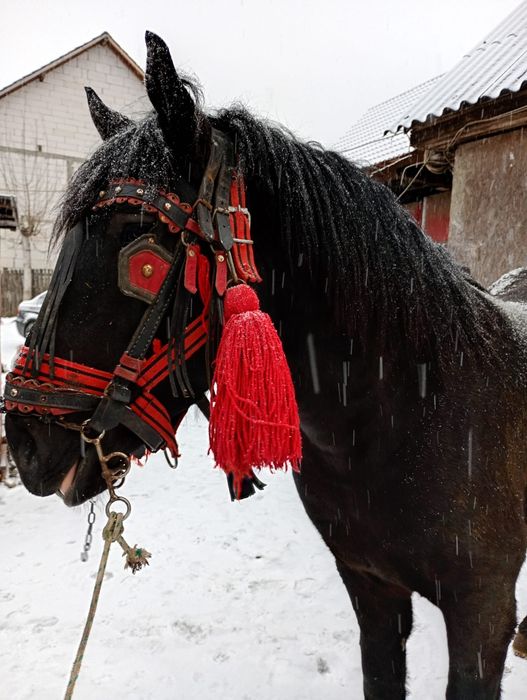 DE vânzare  , sau schimb