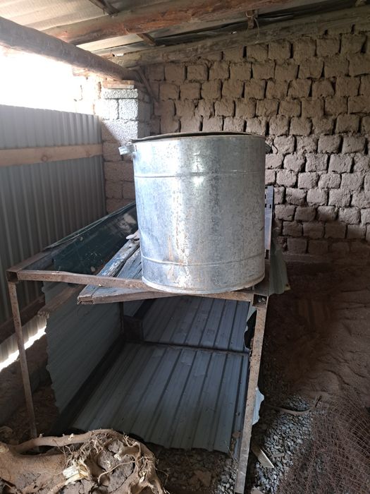 Дайын душ далаға