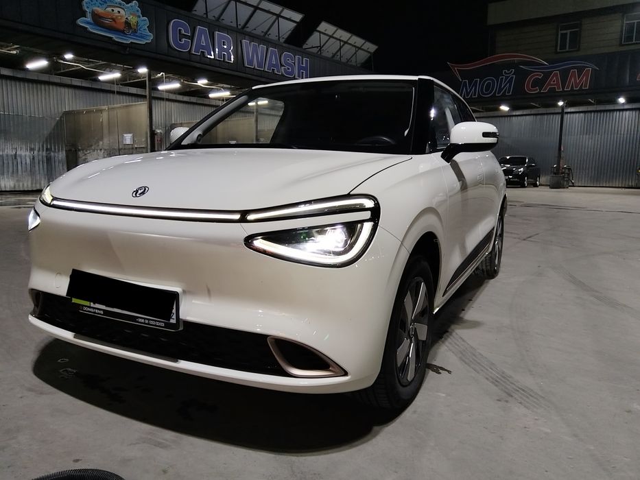 Dongfeng nammi 01