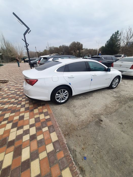 2018 йил пробек 29000 краска тозза бензинда