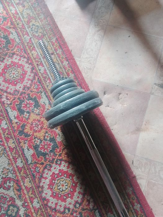 Штанга с лежаком