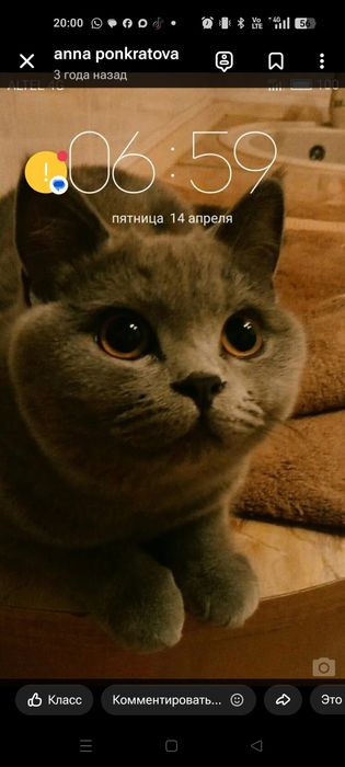 Отдам в хорошие руки
