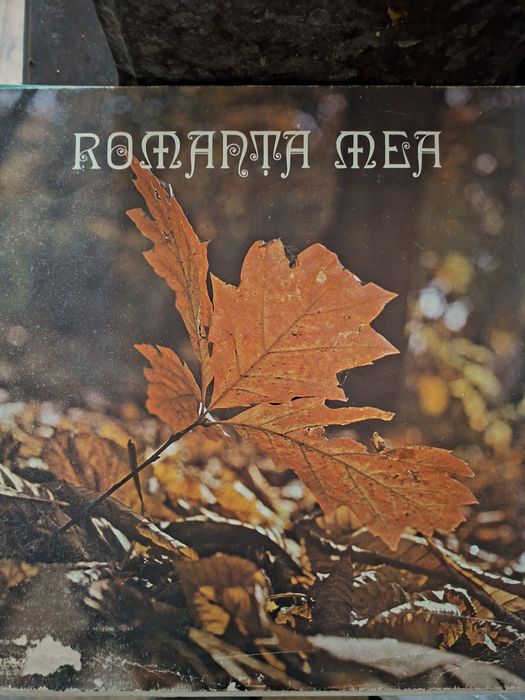 Colectie viniluri