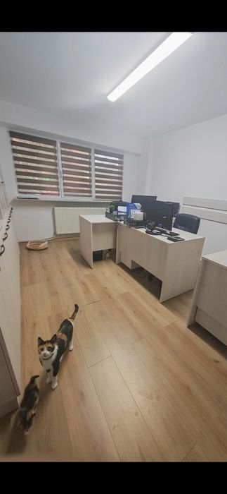 Inchiriez  spațiu comercial Pitesti,B-dul Petrochimistilor