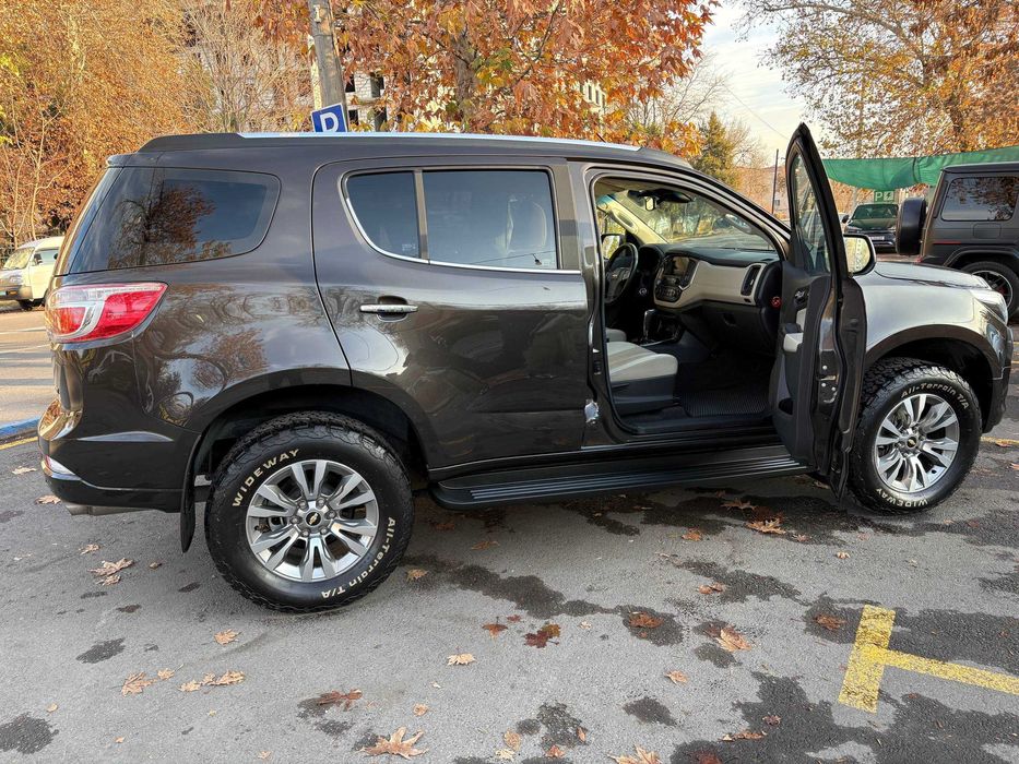 Trailblazer краска Тоза 100%