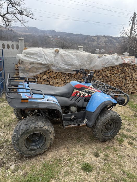 Linhai worker 2x4 300cc