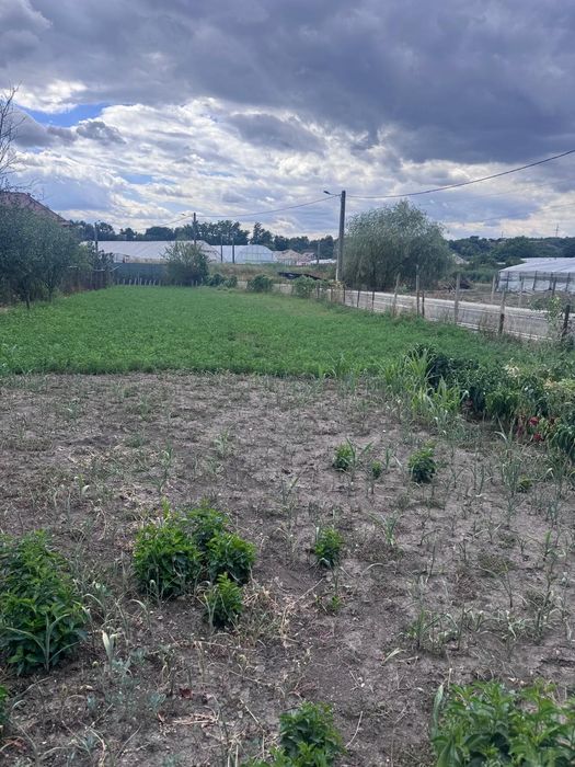 Casă de vanzare in Tg Frumos