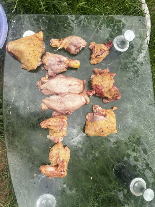 Домашние Курица проадется Мясо