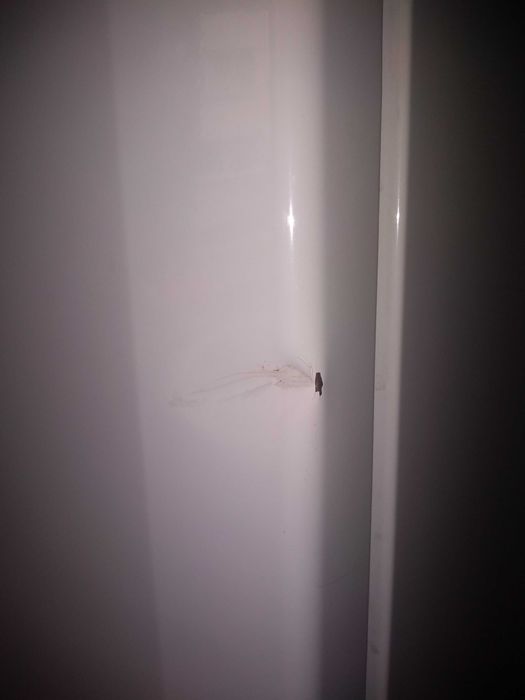 хладилник BECO ЗАПАЗЕН