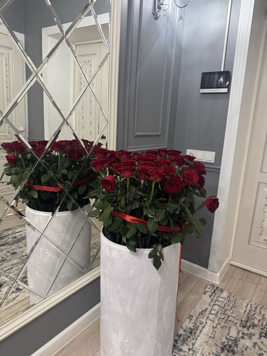 Цветы. Свежие красные розы
