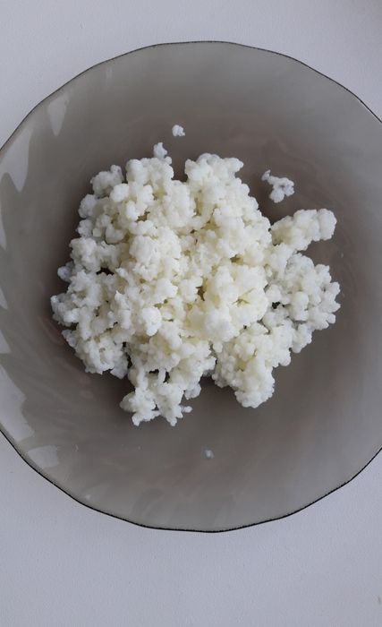 Молочный гриб продам