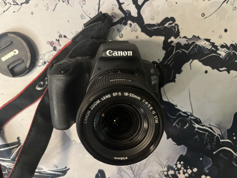 Фотокамера Canon EOS 250D Kit EF-s 18-55mm f/3.5-5.6 III черный