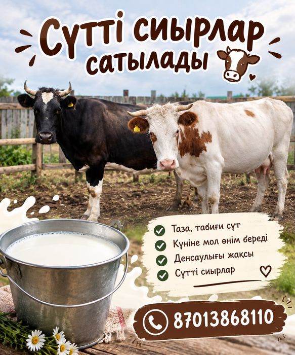 Продам дойную корову