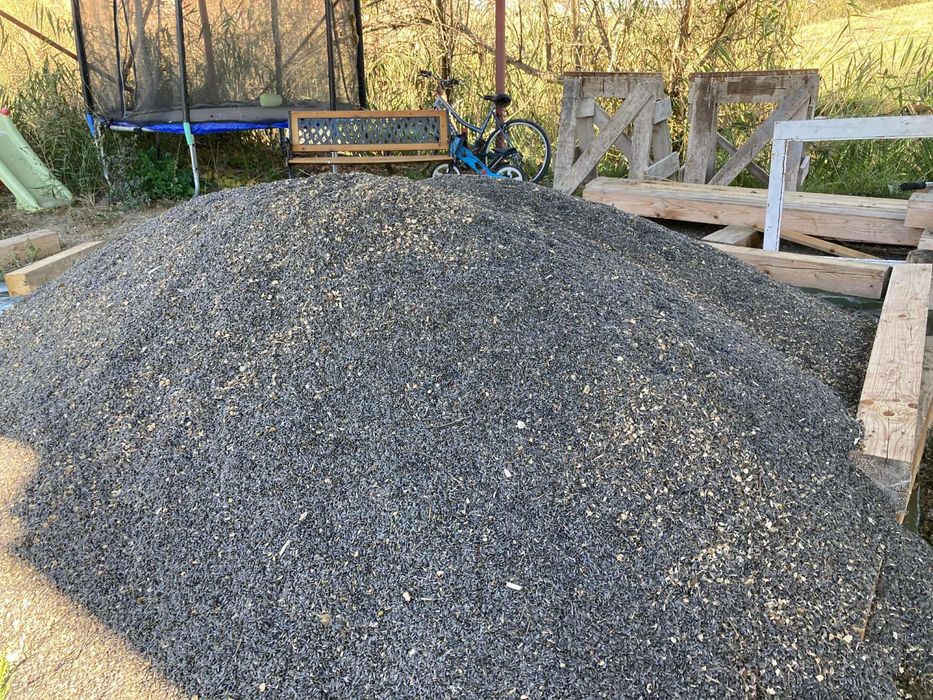 Seminte de floarea soarelui