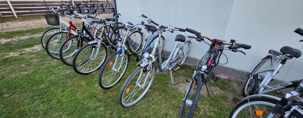 Bicicleta/Biciclete Dama