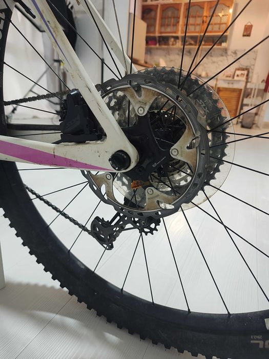 Canyon Exceed hardtail 1x12 Shimano
