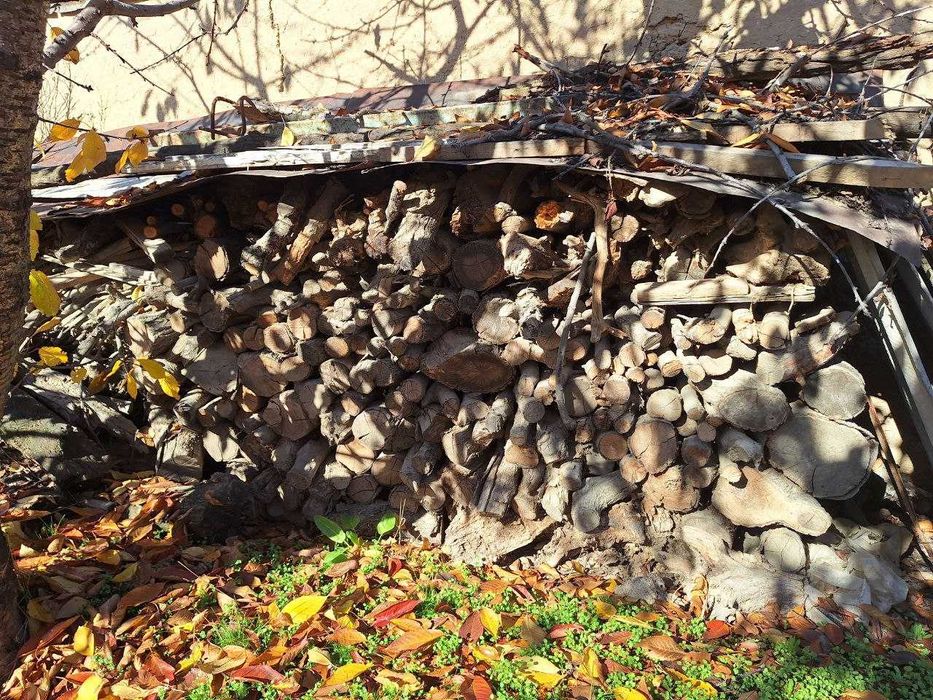 Бир мошина ўтин сотилади