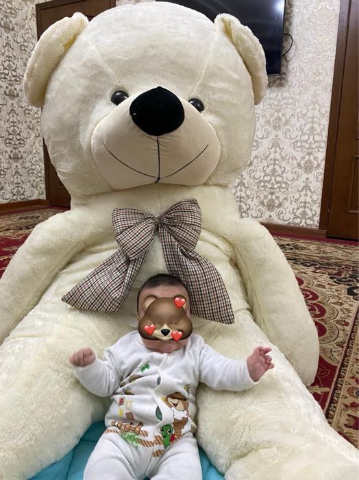 Мишка новый красивый