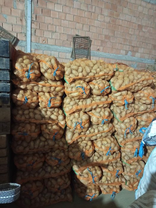 Cartofi de consum 50+